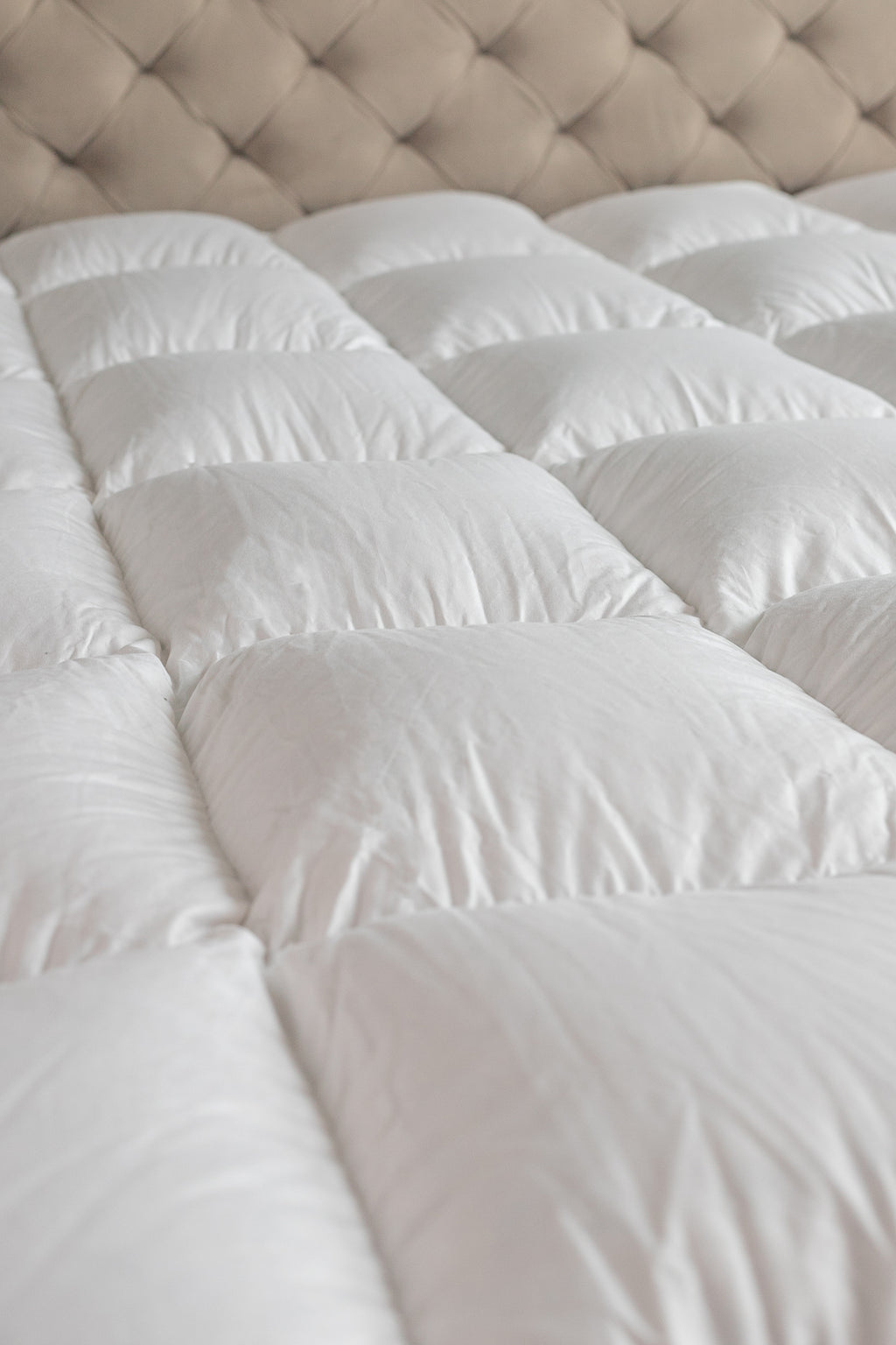 Feather Mattress Topper - PLUME