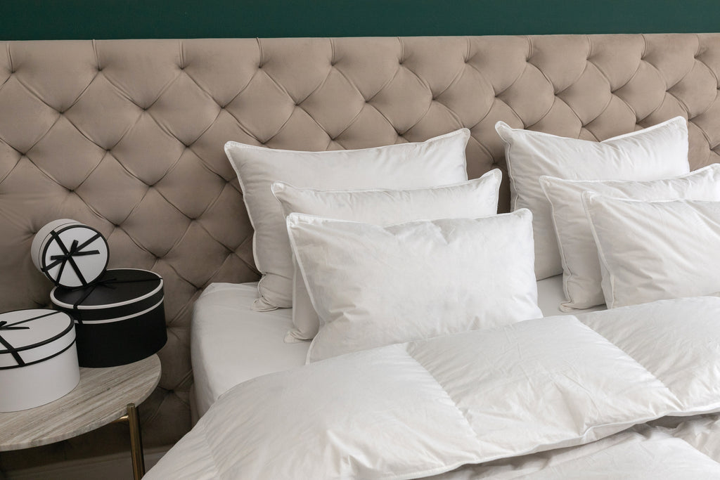 Premium goose feather and down pillow - FEATHER