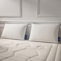 Lot de 2 oreillers 100% mémoire de forme par BED REPUBLIC - Confort équilibré ou ferme