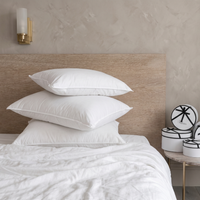 Oreiller hybride premium plume duvet naturel et nanofibres
