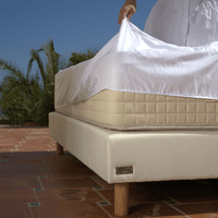 Waterproof and breathable mattress protector in 100% cotton terry cloth - white - BASIC