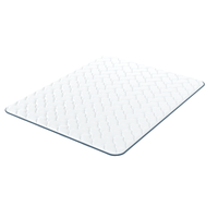 2-in-1 Mattress Topper: Fresh Summer Side + Memory Foam Side - Very Fresh Blue - 5cm Topper