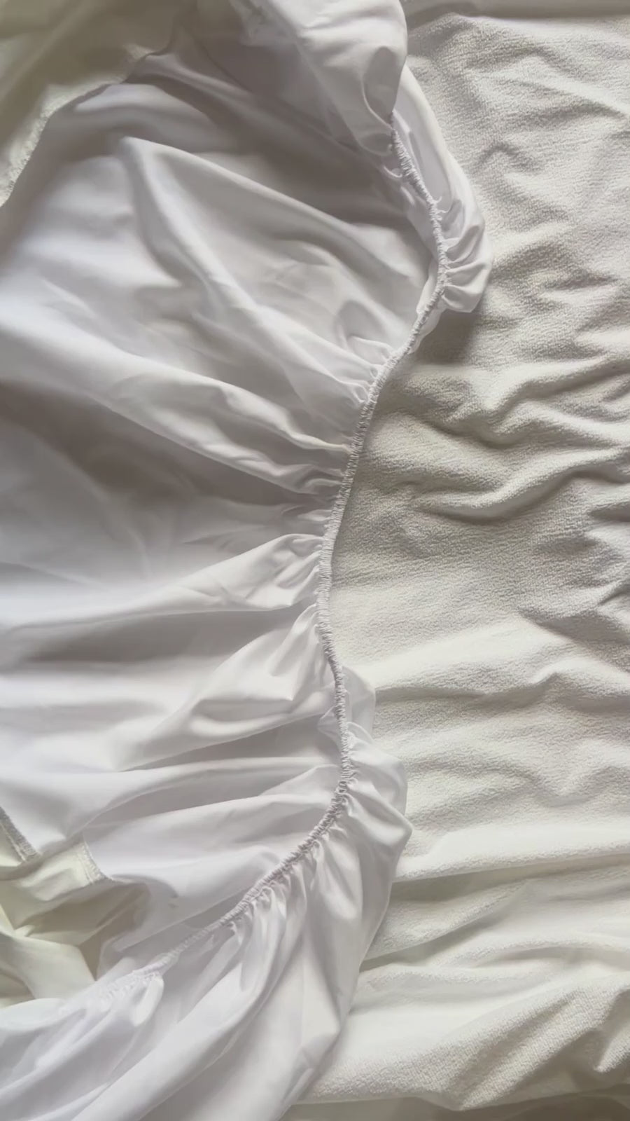 Coton bouclette 3.mp4