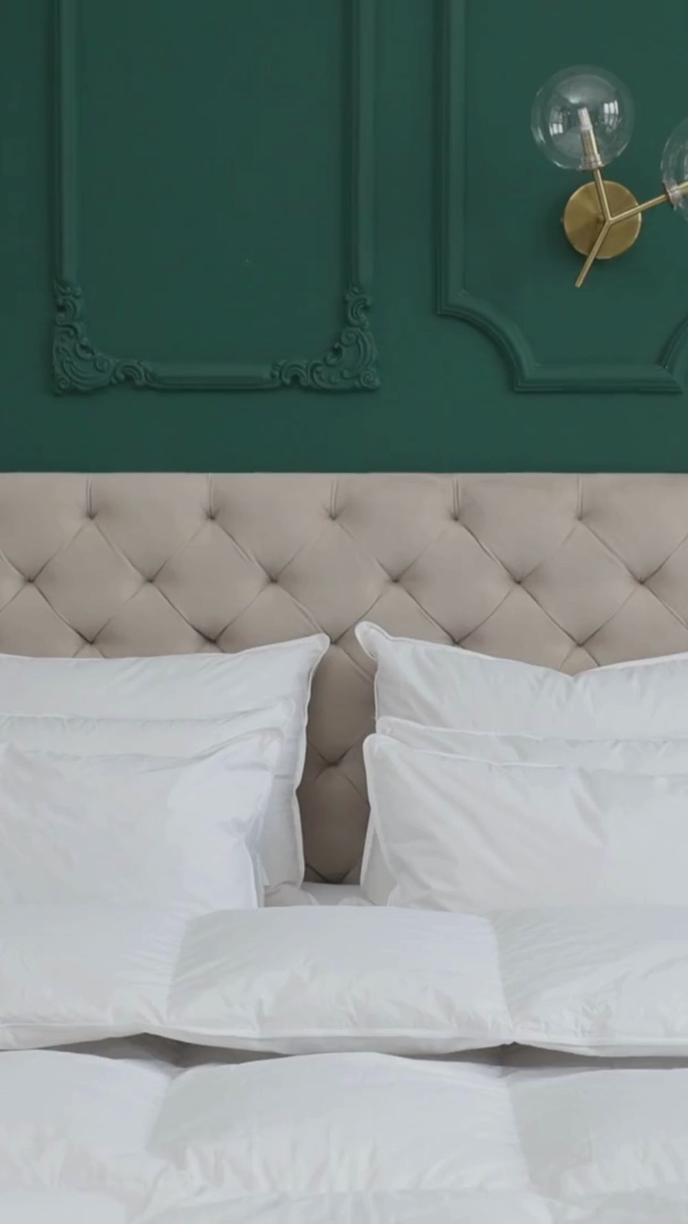 duv plume 2.mp4