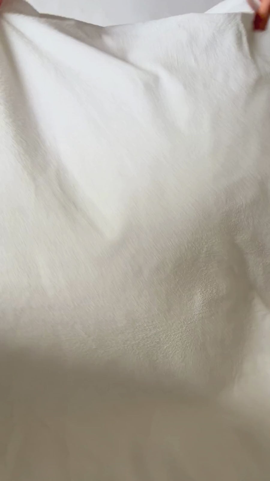 Coton bouclette 5.mp4