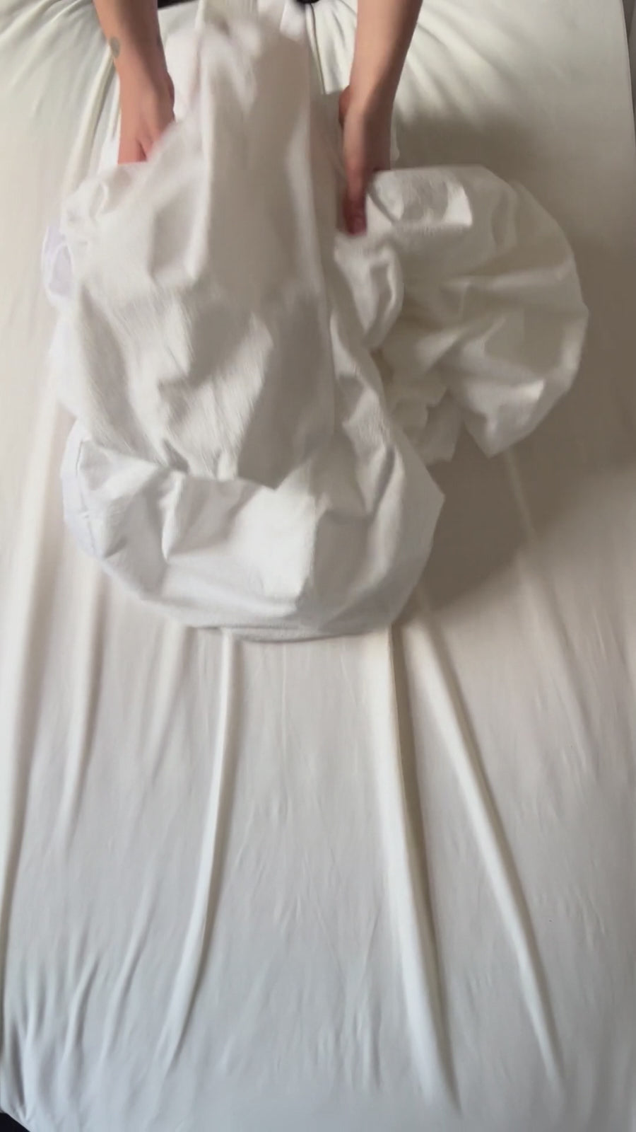 Coton bouclette.mp4